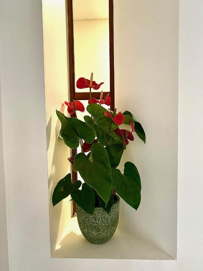 Douro B&B Avenida Resende Kültér fotó
